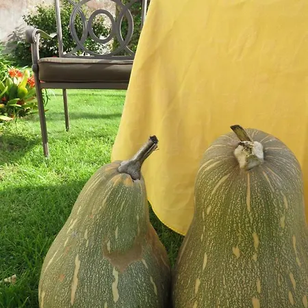 Appartamento Casa Do Quintalao