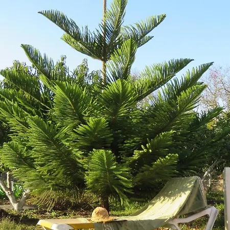 Appartamento Casa Do Quintalao Raposeira (Faro)