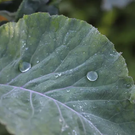 Casa Do Quintalao Appartamento